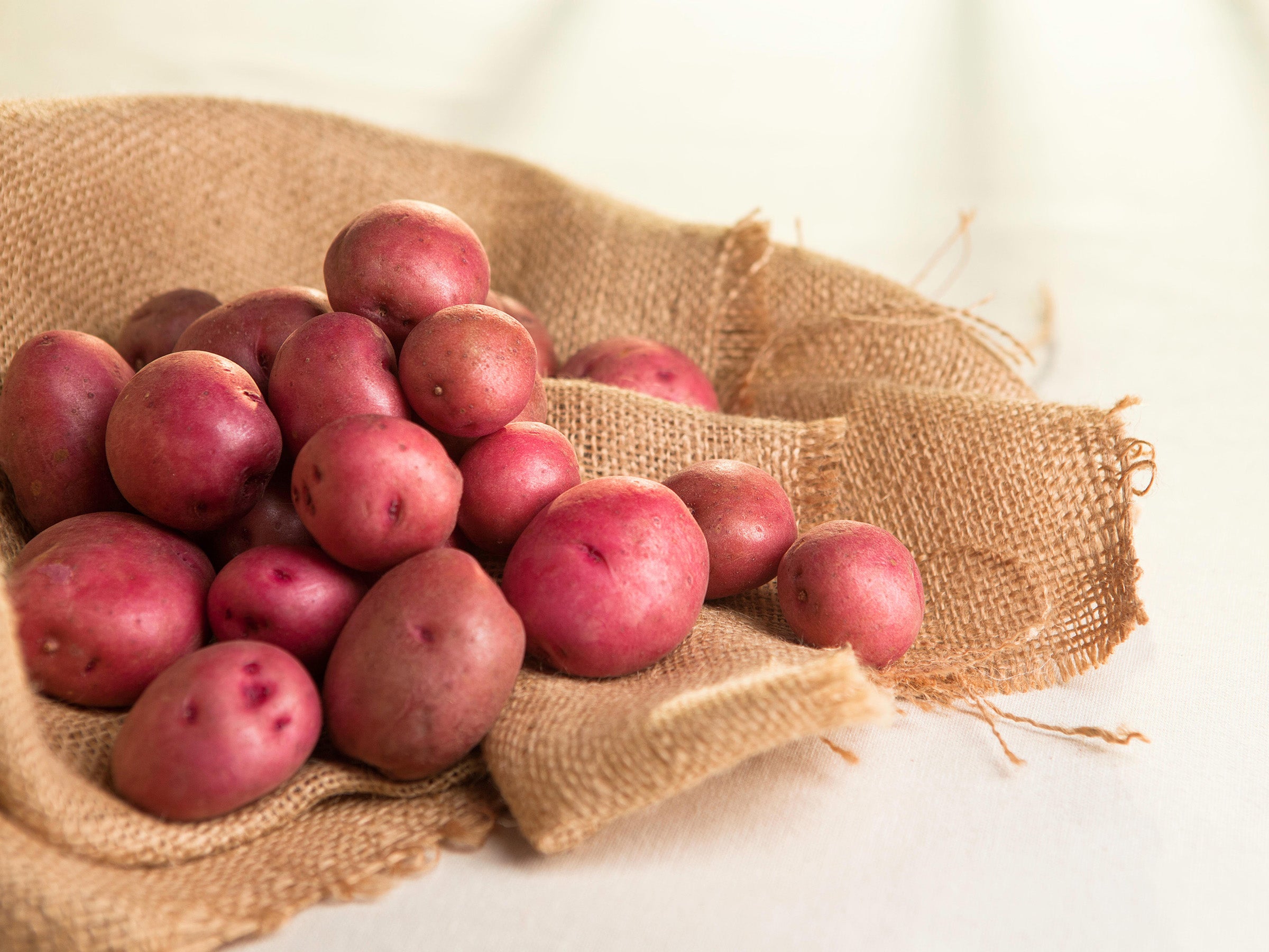Cristina Red Skinned Potato – EVERGREEN