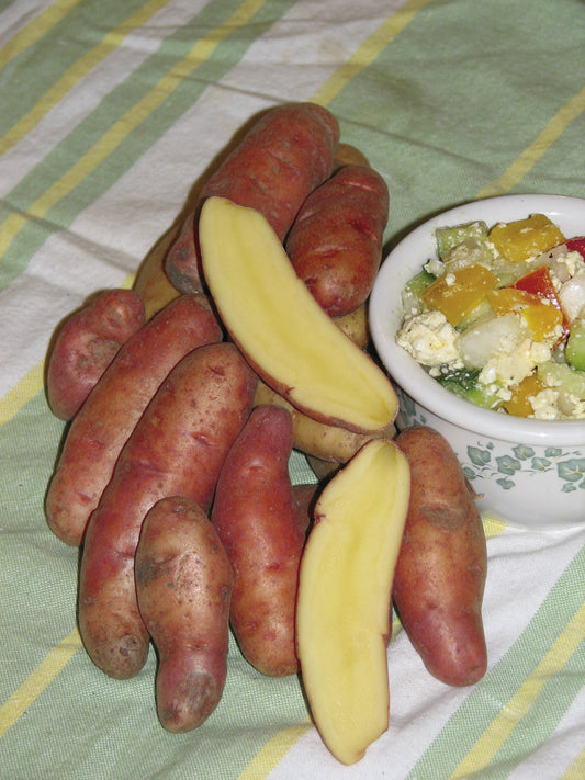 French Fingerling Gourmet Potato