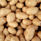 Kennebec White Skinned Potato Plants online shopping