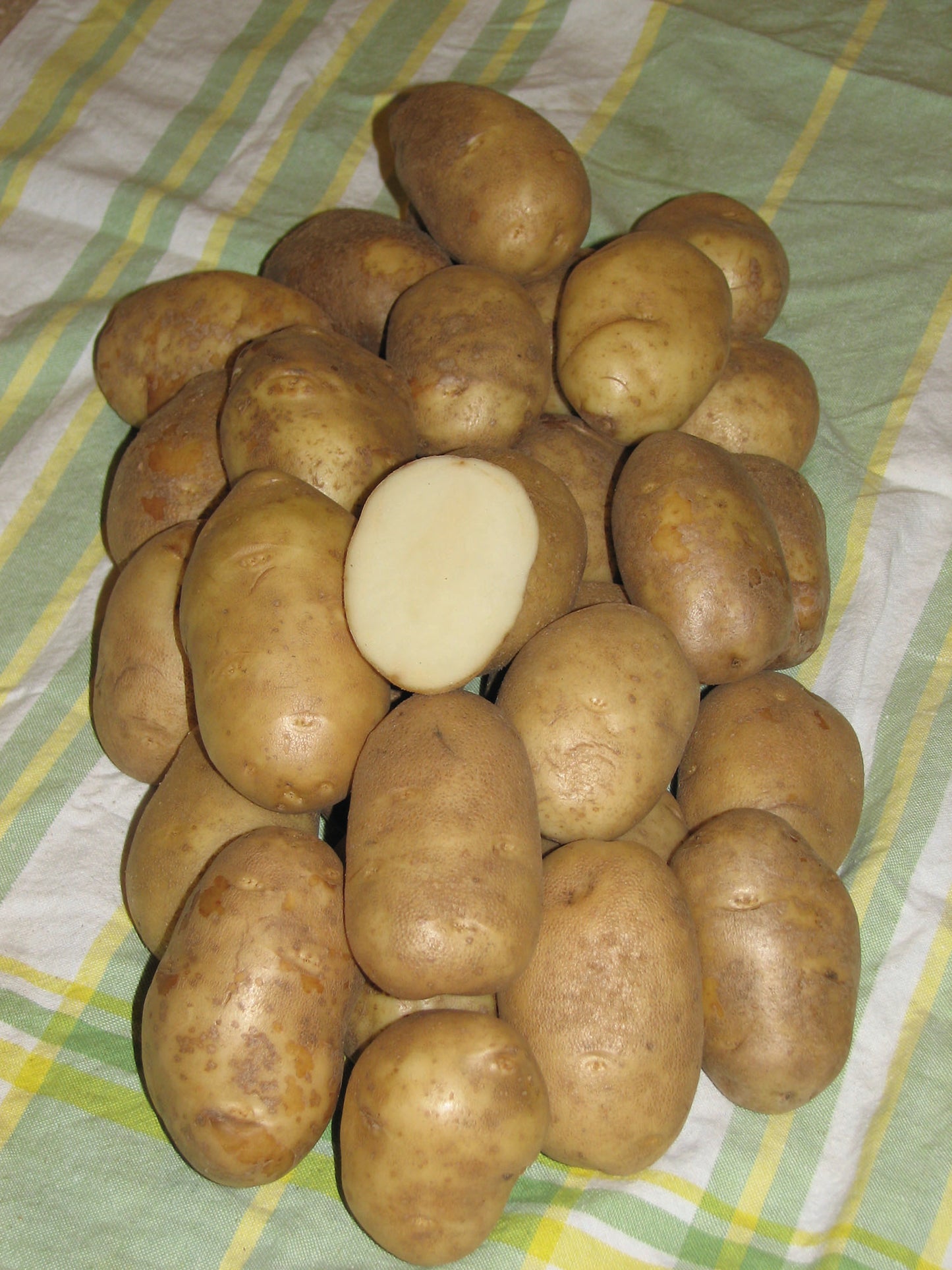 Pacific Russet Potato