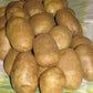 Russet Burbank Potato Plants online shopping