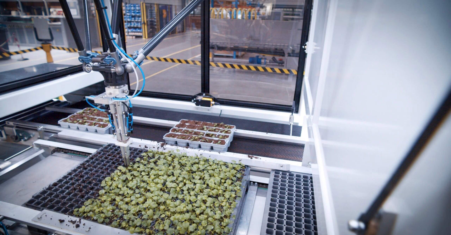 Viscon Robotic Gap Filler Transplanter