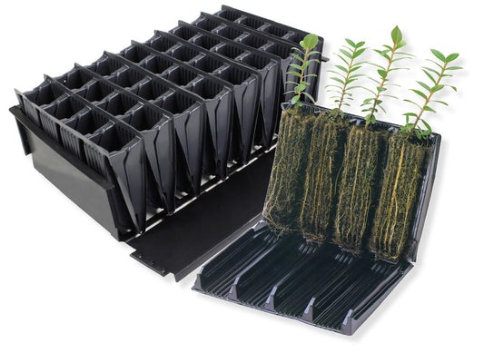 rootrainers innovative nursery and forestry plant plug pots with minimal root disturbance