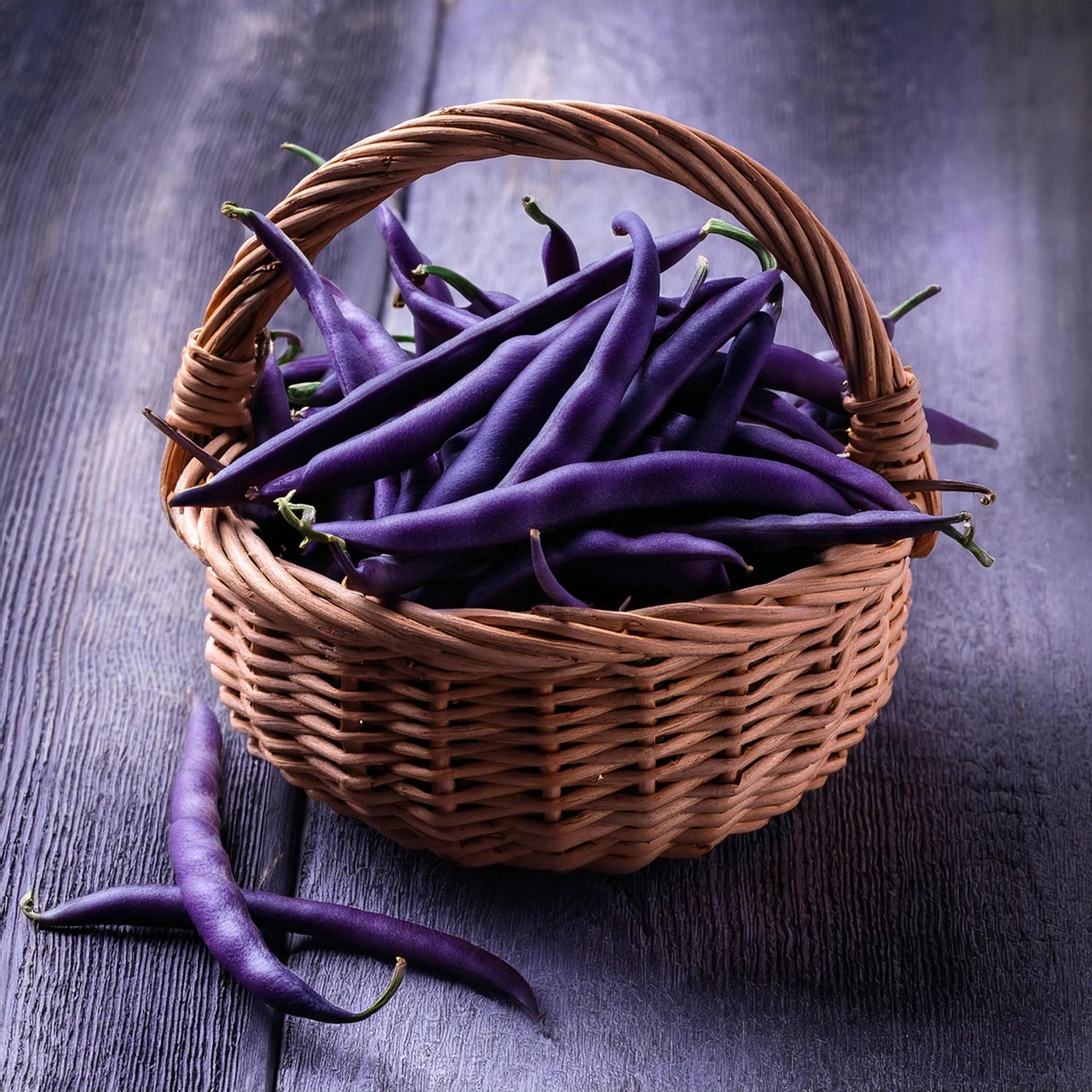 Purple Queen Bush Bean Seeds online shopping