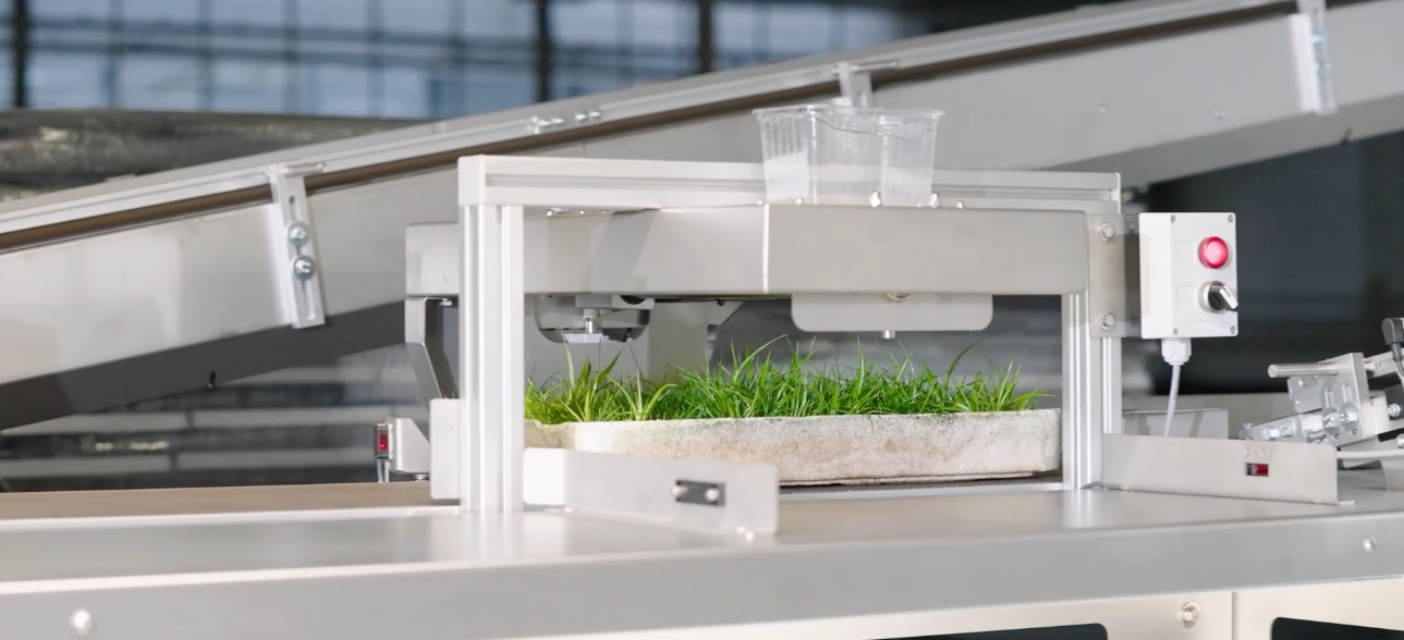 TTA ISO Sorter and Planter Cutting