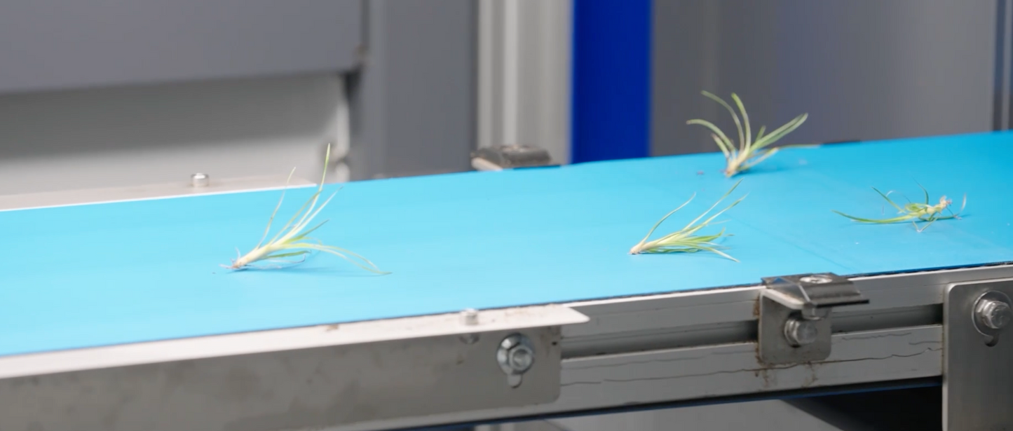 TTA ISO Sorter and Planter Cutting