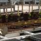 TTA ISO MidiPot Linear Plug Transplanter