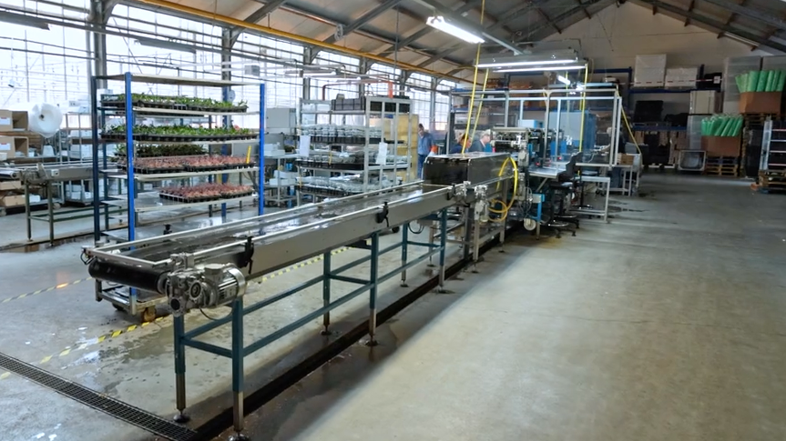 TTA ISO Manual Cutting Sticking Line