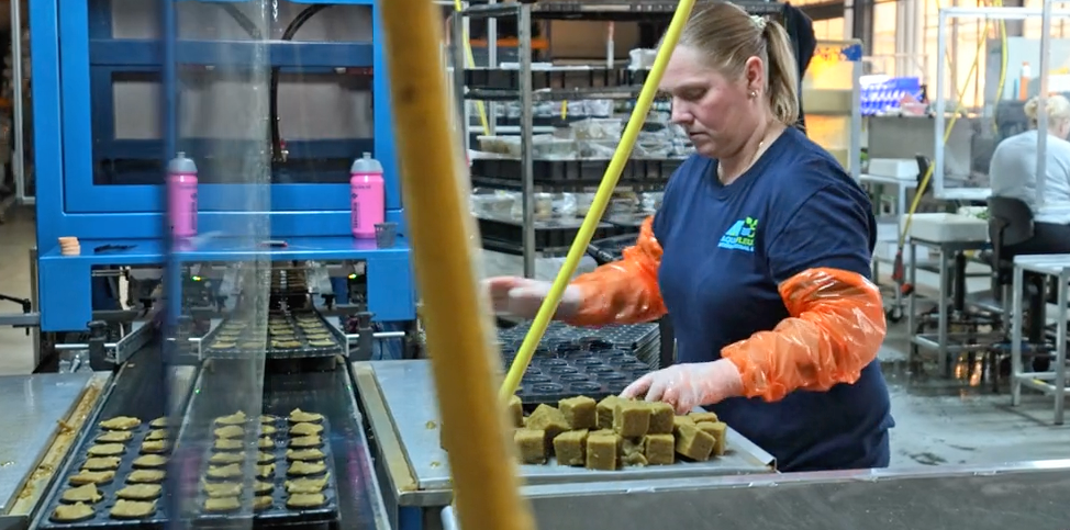 TTA ISO Manual Cutting Sticking Line