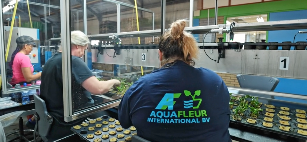 TTA ISO Manual Cutting Sticking Line