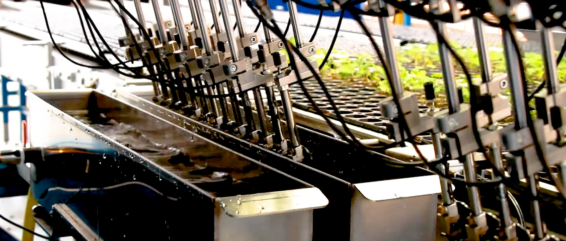 TTA ISO FlexSorter XF Grader