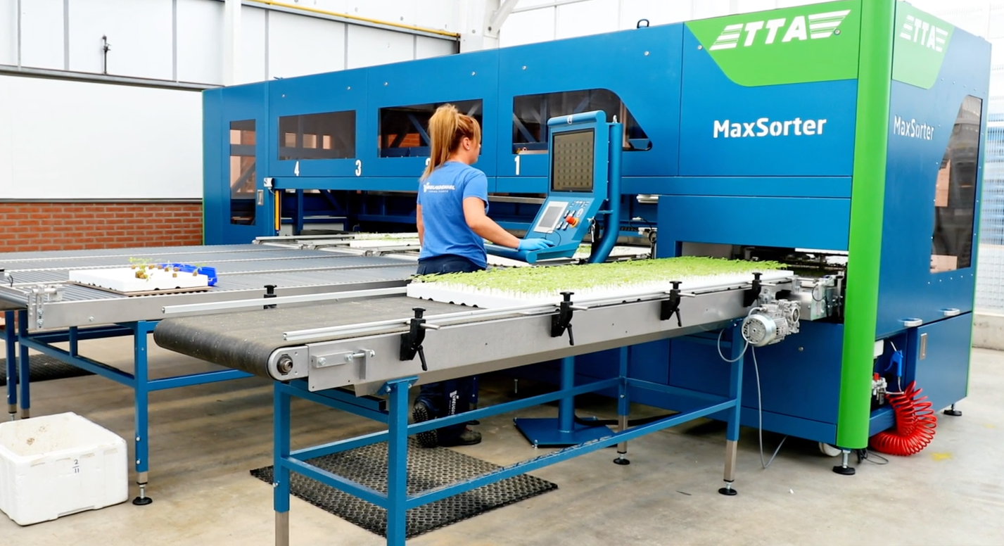 TTA ISO MaxSorter Grader