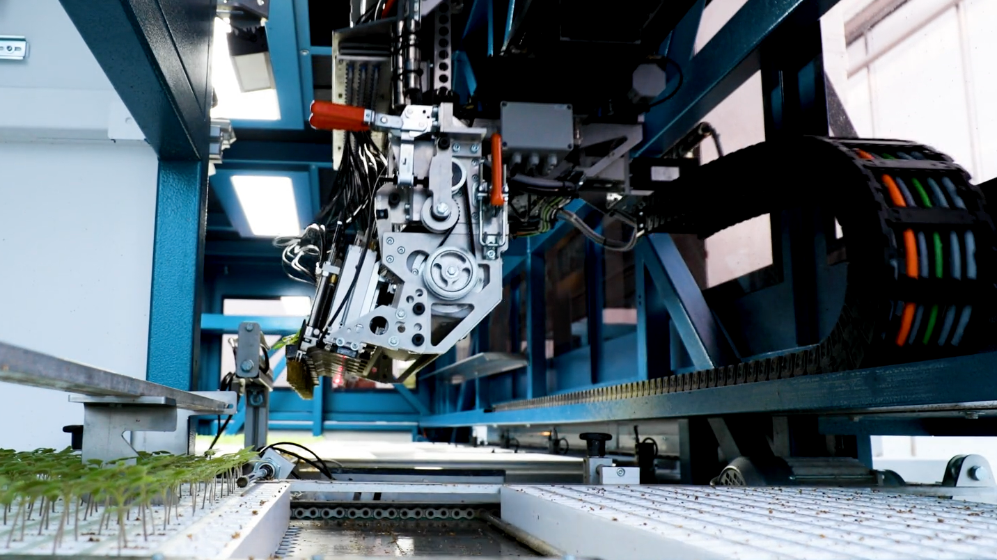 TTA ISO MaxSorter Grader