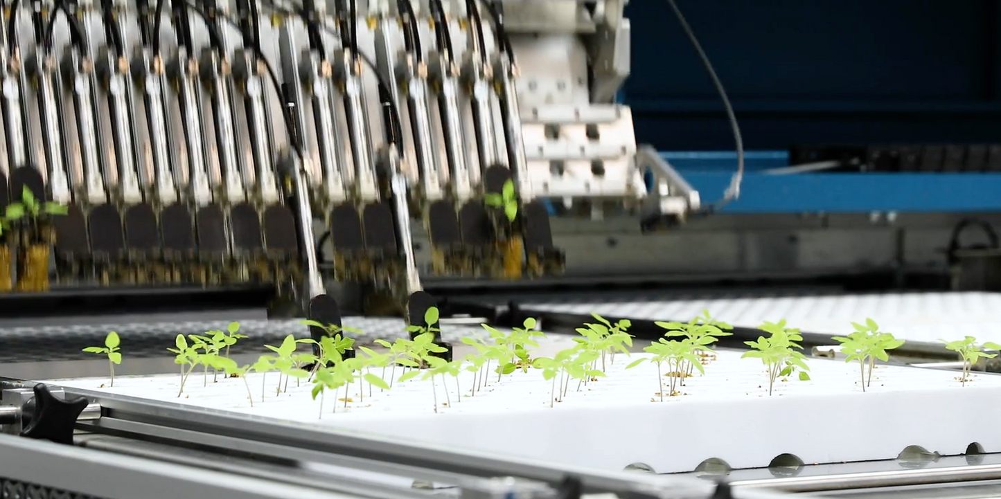 TTA ISO MaxSorter Grader