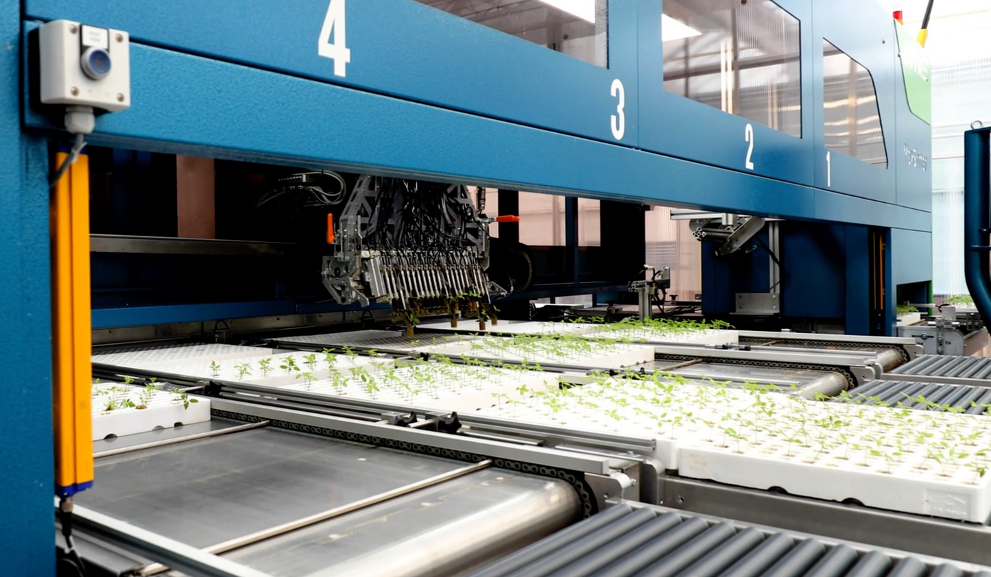 TTA ISO MaxSorter Grader