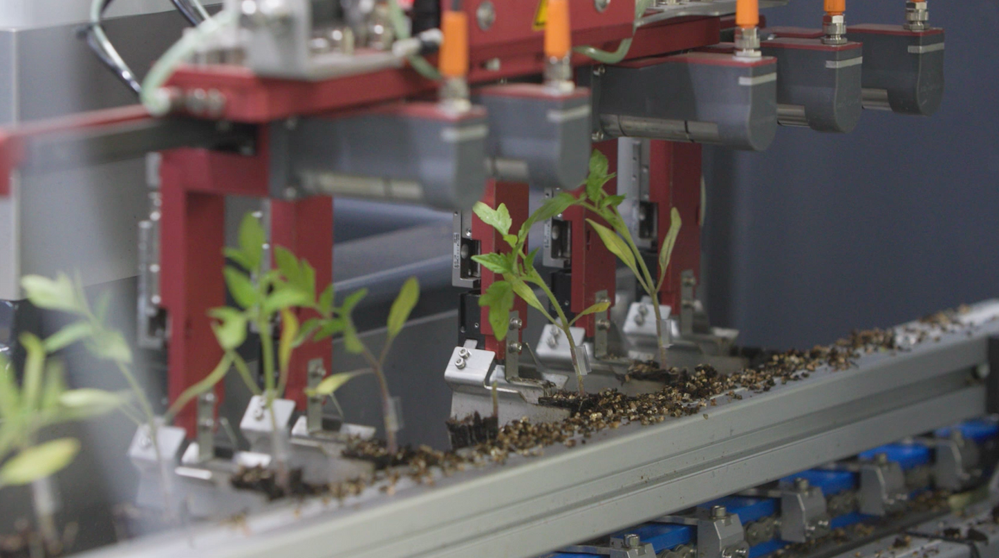 TTA ISO High Speed Grafter