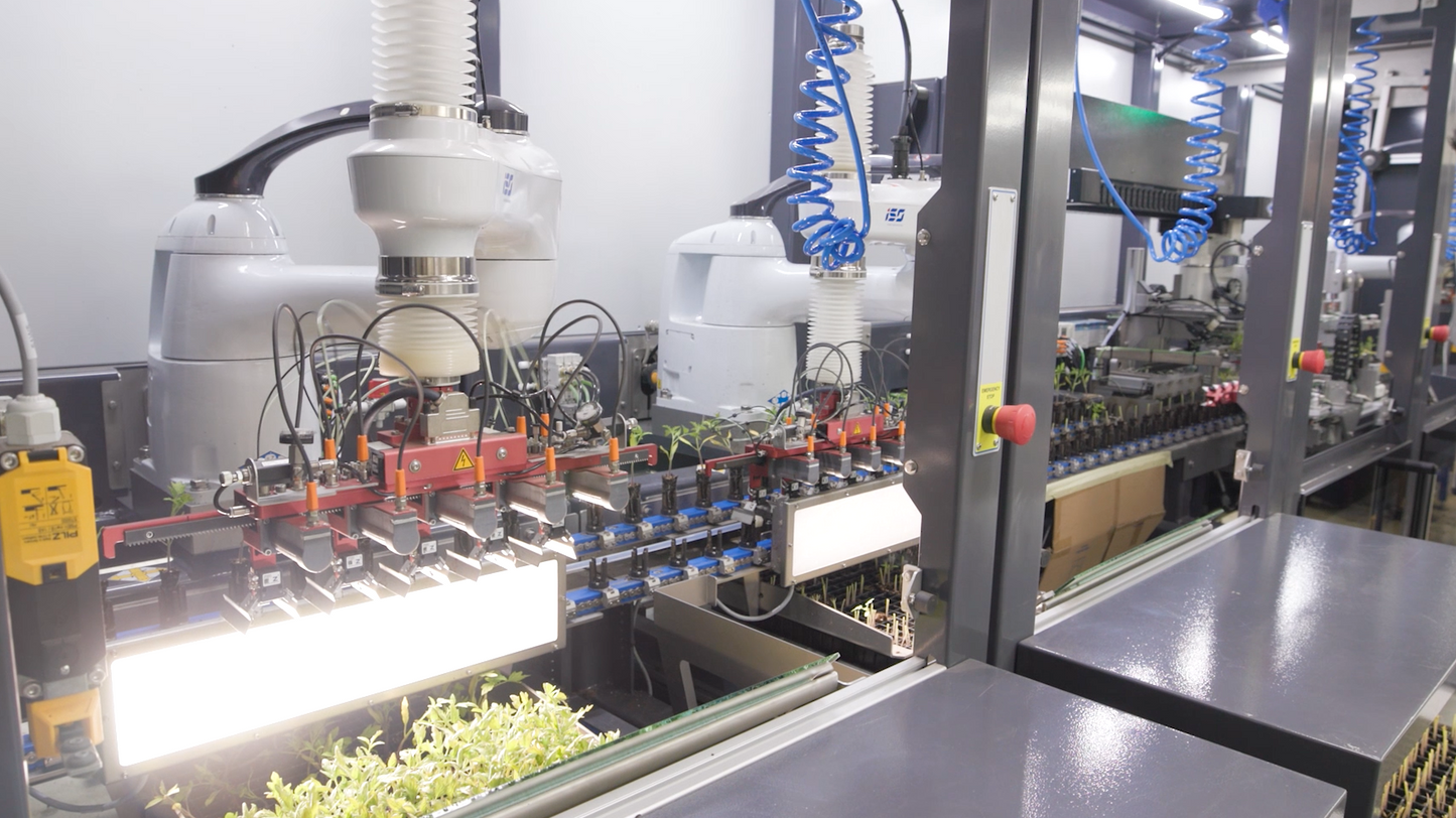 TTA ISO High Speed Grafter