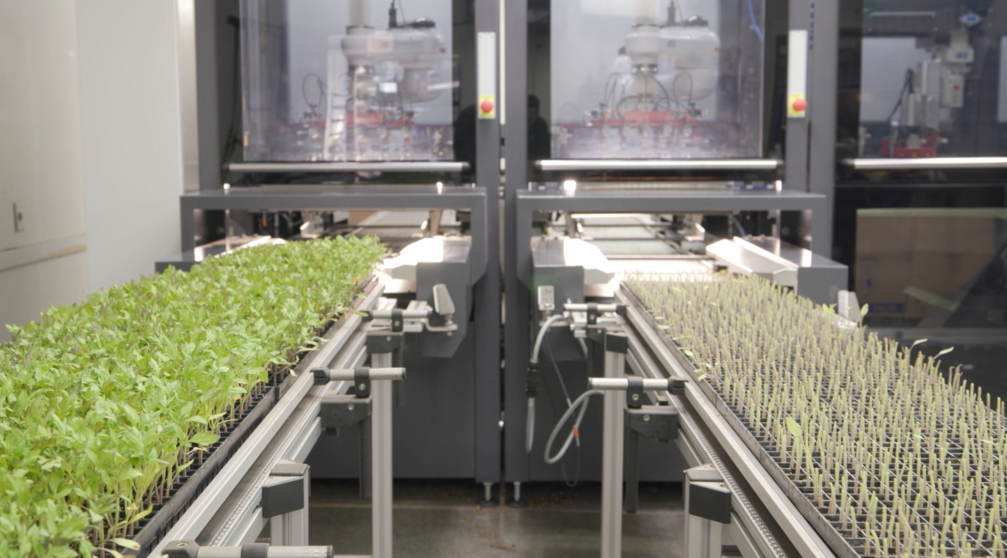 TTA ISO High Speed Grafter