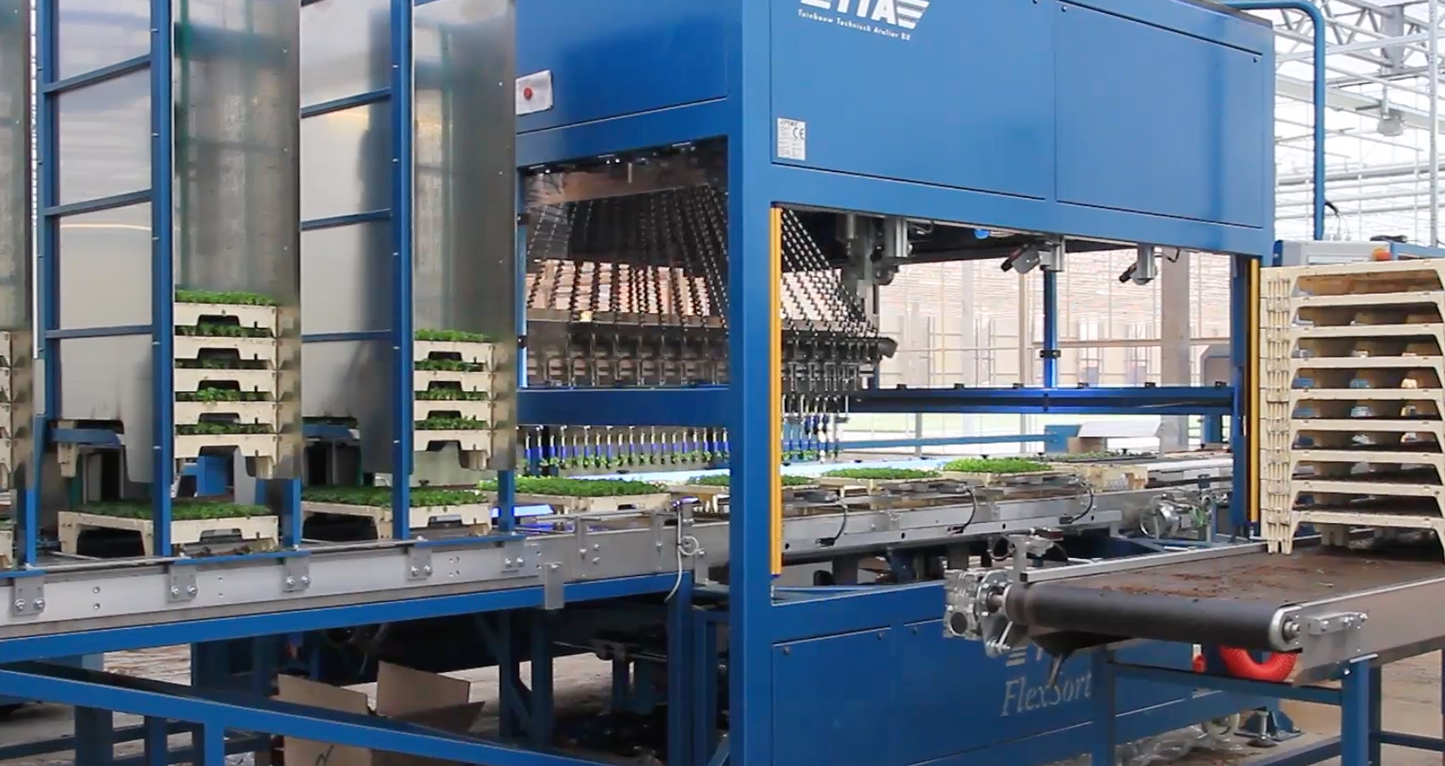 TTA ISO FlexPlanter XF Plug Grader