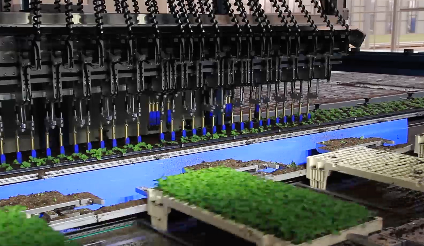 TTA ISO FlexPlanter XF Plug Grader