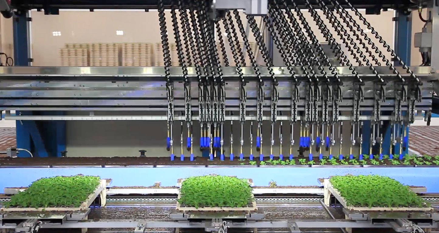 TTA ISO FlexPlanter XF Plug Grader