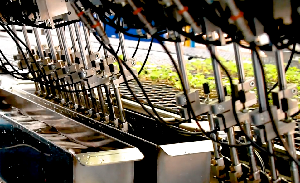 TTA ISO FlexPlanter XF Plug Grader