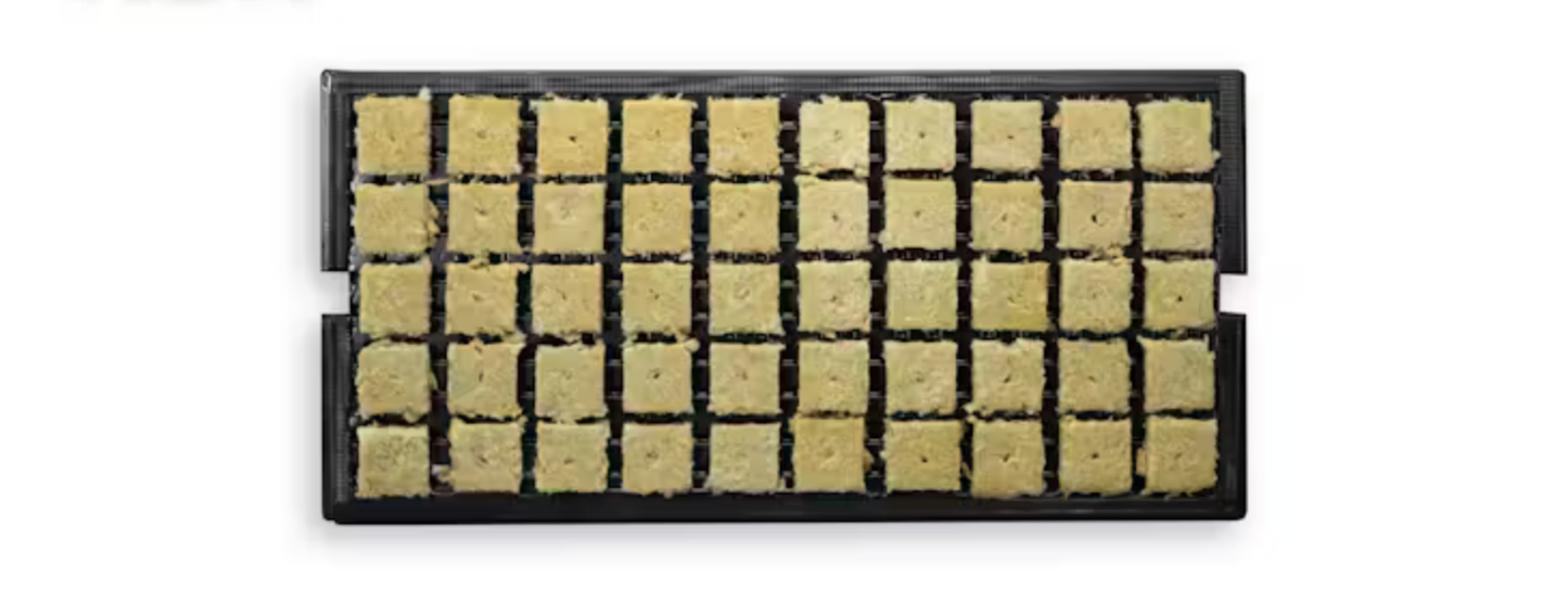 Grodan A OK Starter Plugs™ Pre Filled Tray