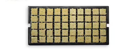 Grodan A OK Starter Plugs™ Pre Filled Tray