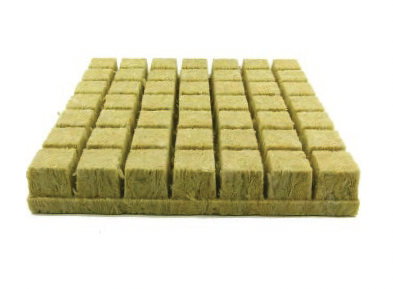 Grodan A OK 1.5'' Starter Plugs™ Sheet