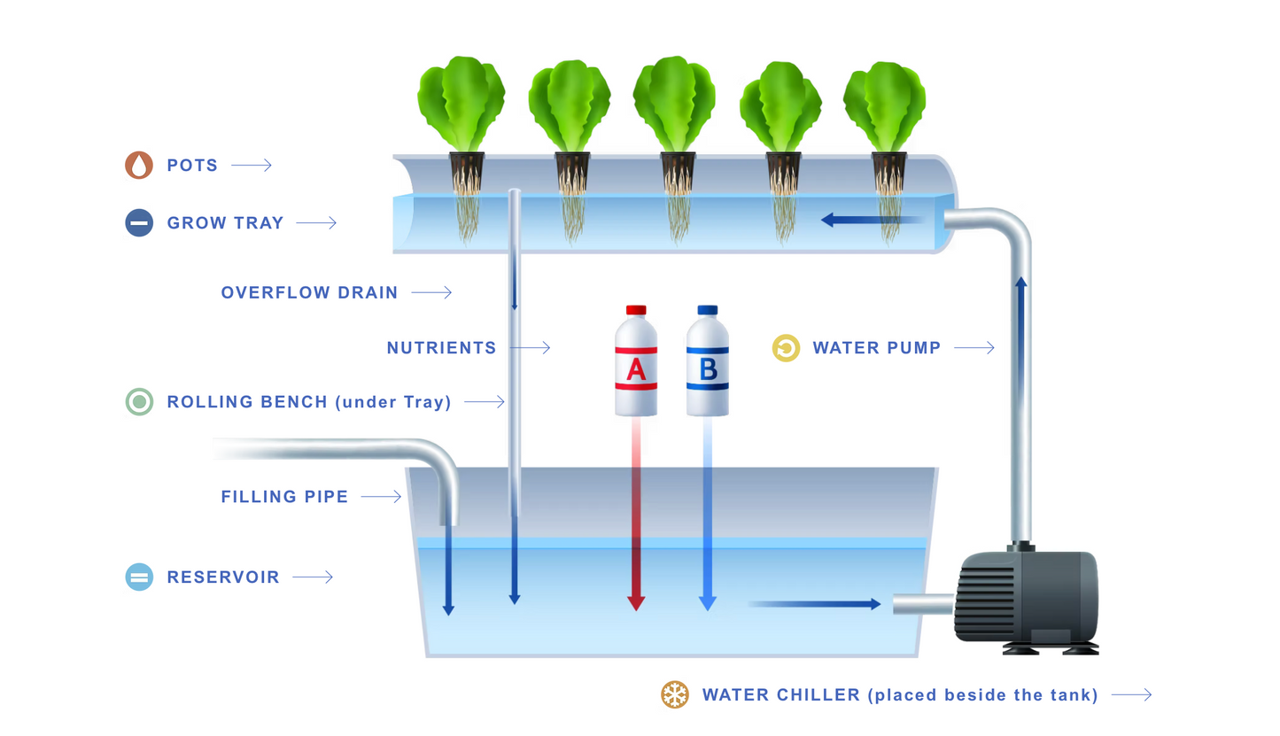Active Aqua 4' Wide Infinity Tray  Ebb and Flow Flood Table