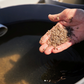 Crassostrea Virginica Oyster Seed NC aquaculture online shopping