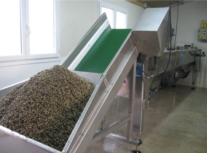 Hardouin Water Spat Sieving automation online shopping