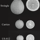 US-812 Citrandarin Trifoliate Hybrid Budwood citrus plant material online shopping