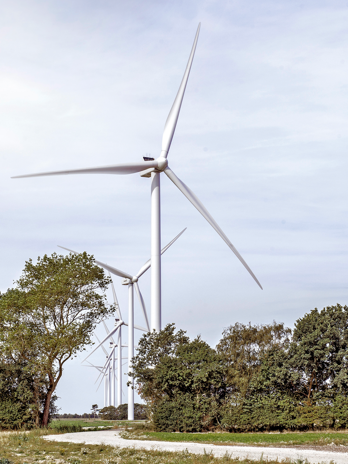 Vestas V136-4.2 MW™ Extreme Climate Onshore Offshore Wind Turbine