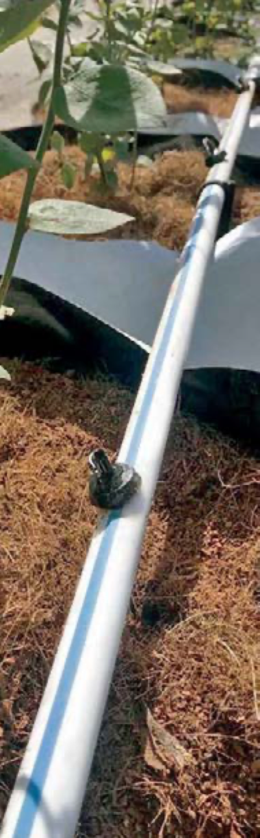 Toro White Blue Stripe® Hose 57 mil, 59 psi