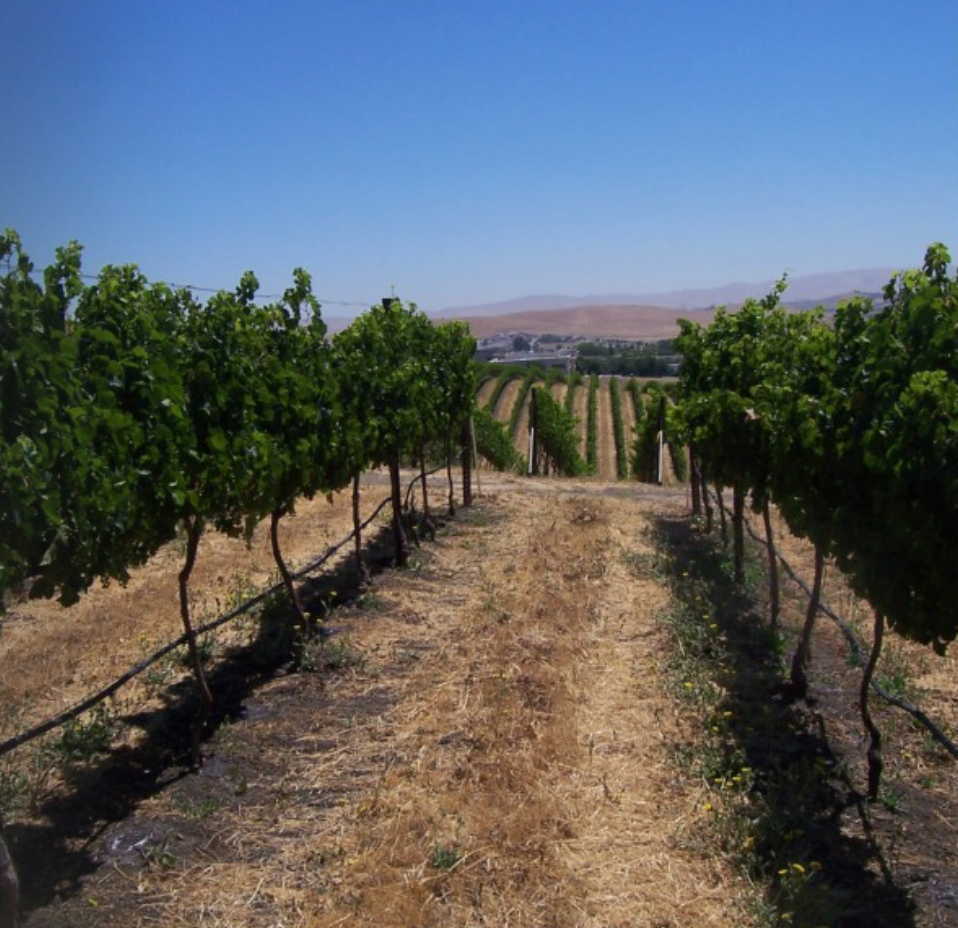 Toro Blue Stripe® Round Hose 52 mil, 20 mm Inside Diameter