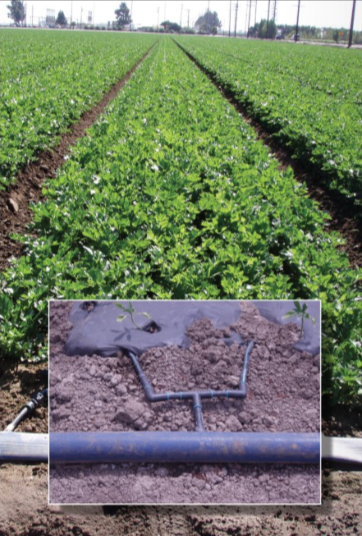 Toro Sunflow Blue Layflat Hose 8.0''