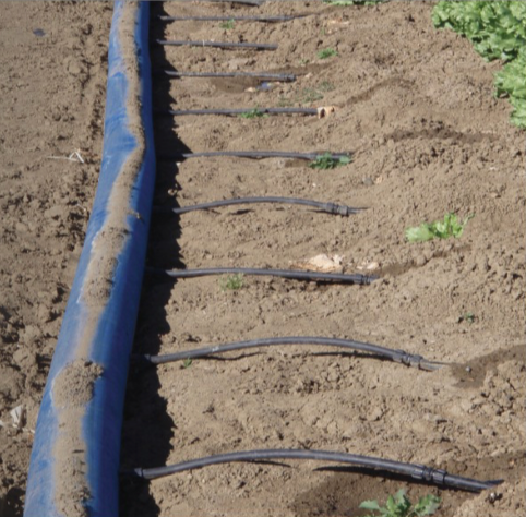 Toro Sunflow Blue Layflat Hose 8.0''