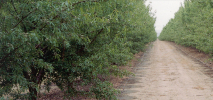 Toro BlueLine® PC Pressure Compensating Dripline 2.0 lph, 50 cm Spaced Emitters