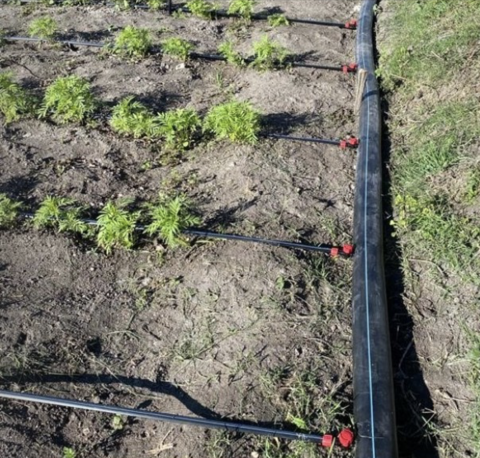 Toro Premium Drip Tape Irrigation Fittings, End Plugs