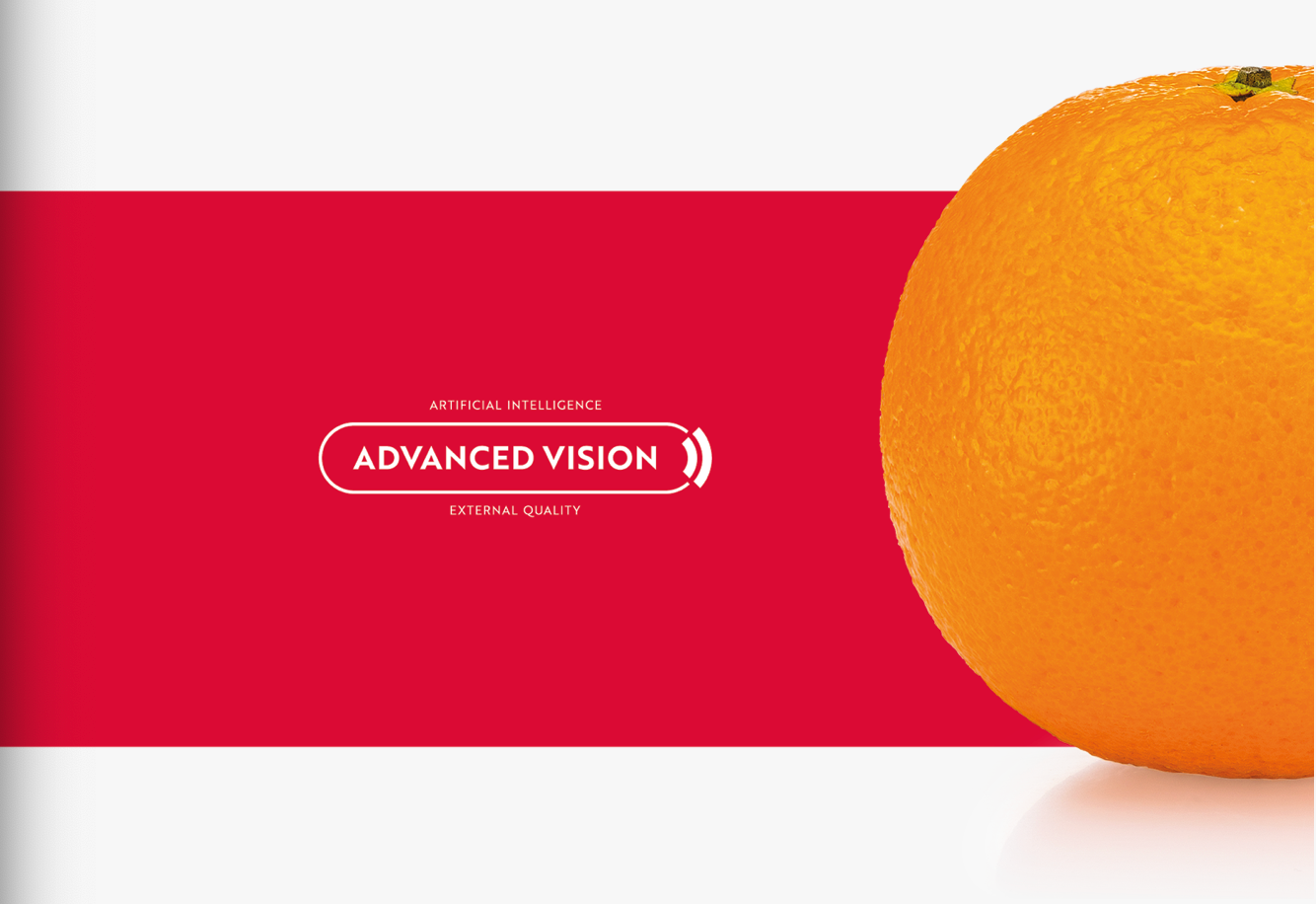 Aweta Citrus Sorting and Packing Line