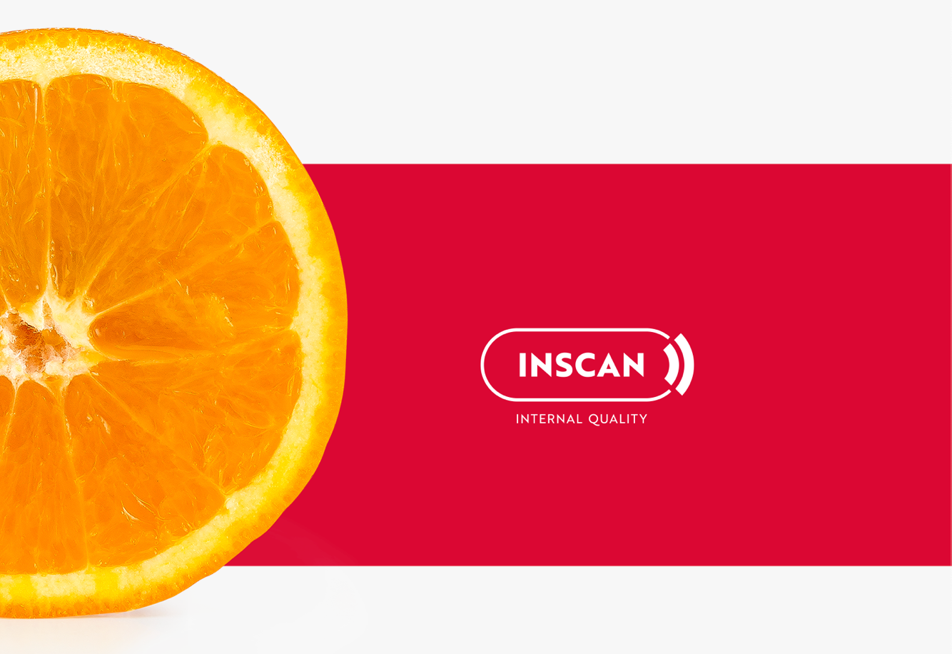 Aweta Citrus Sorting and Packing Line