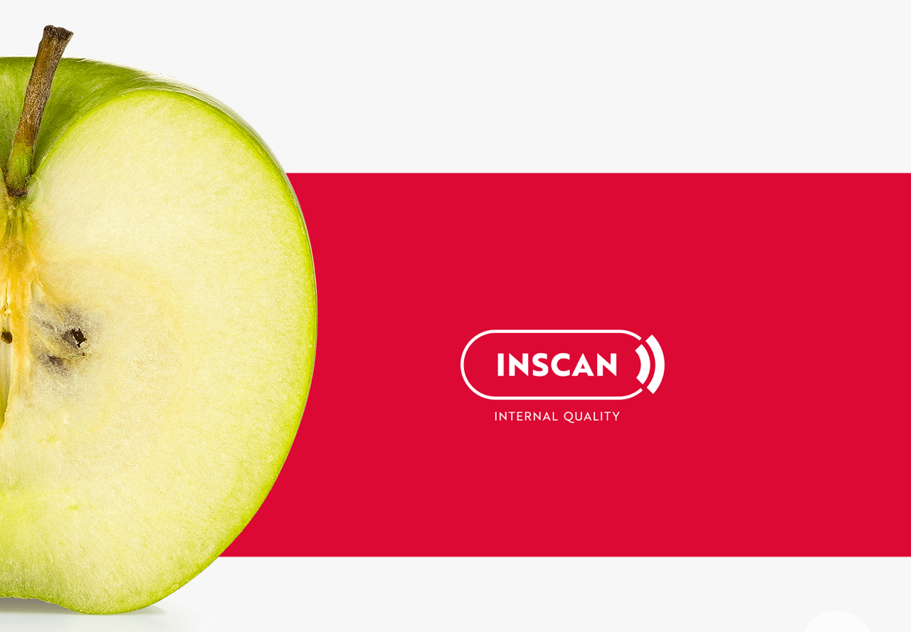 Aweta Apple Sorting and Packing Line