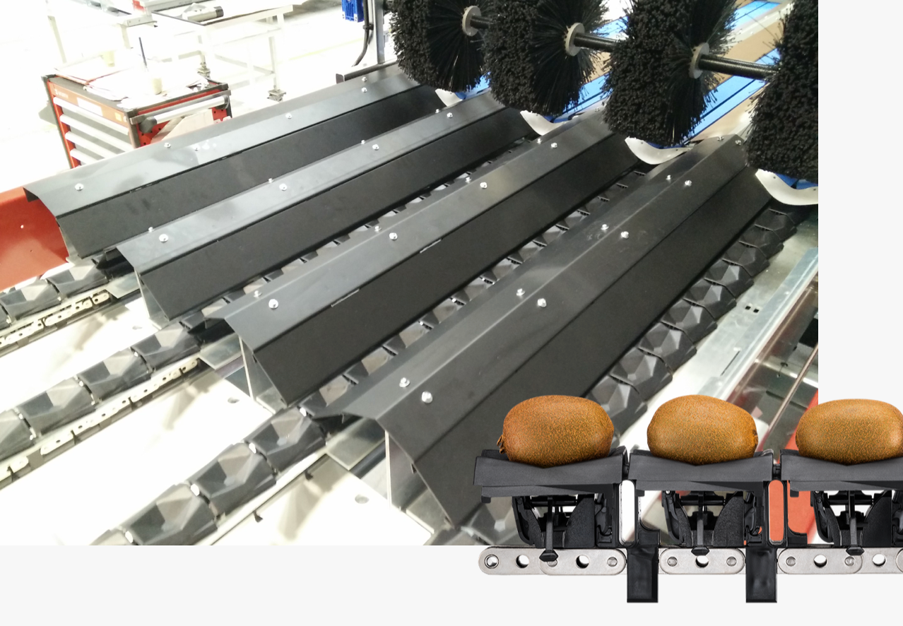 Aweta Kiwi Sorting and Packing Line