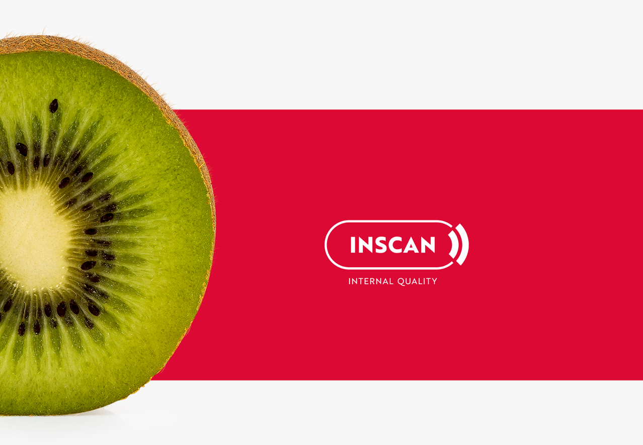 Aweta Kiwi Sorting and Packing Line