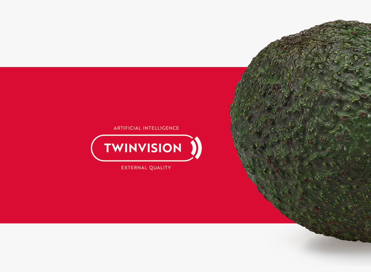 Aweta Avocado Sorting and Packing Line