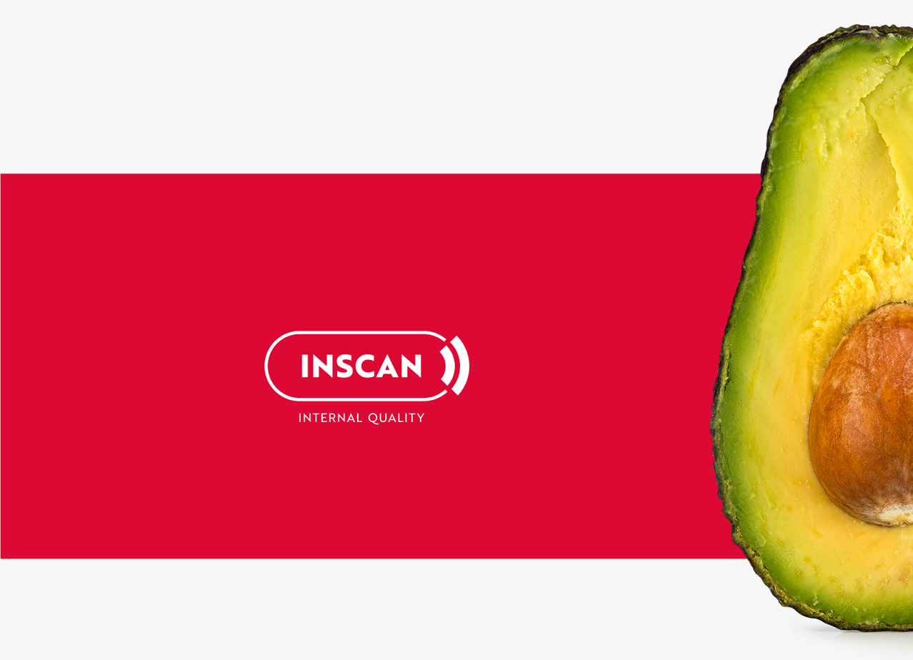 Aweta Avocado Sorting and Packing Line