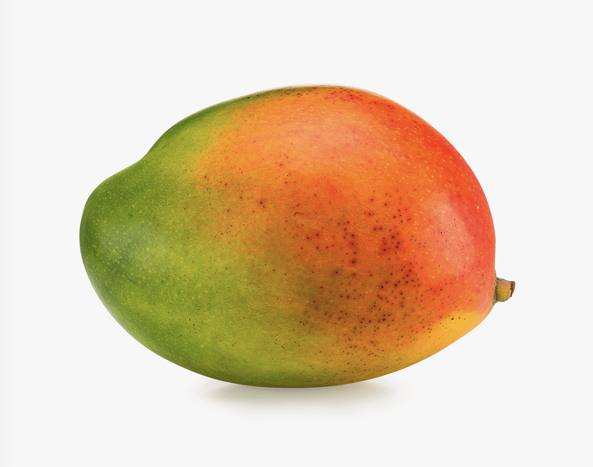 Aweta Mango Sorting and Packing Line