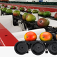 Aweta Mango Sorting and Packing Line