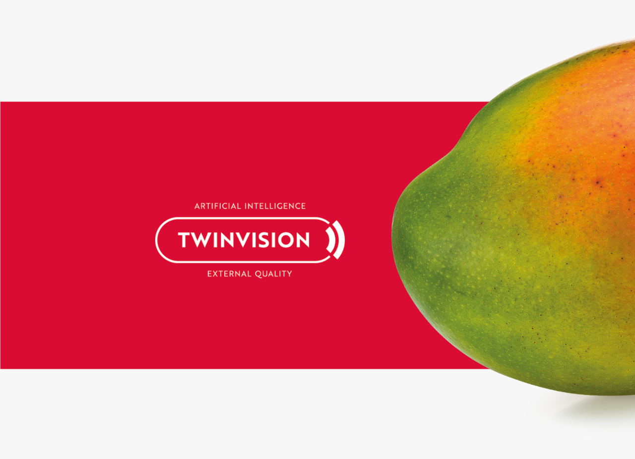 Aweta Mango Sorting and Packing Line